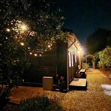 Chalet Villa Mosquito 西尔韦斯 外观 照片