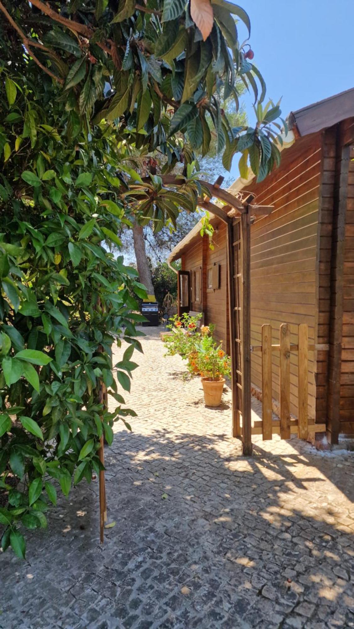 Chalet Villa Mosquito 西尔韦斯 外观 照片