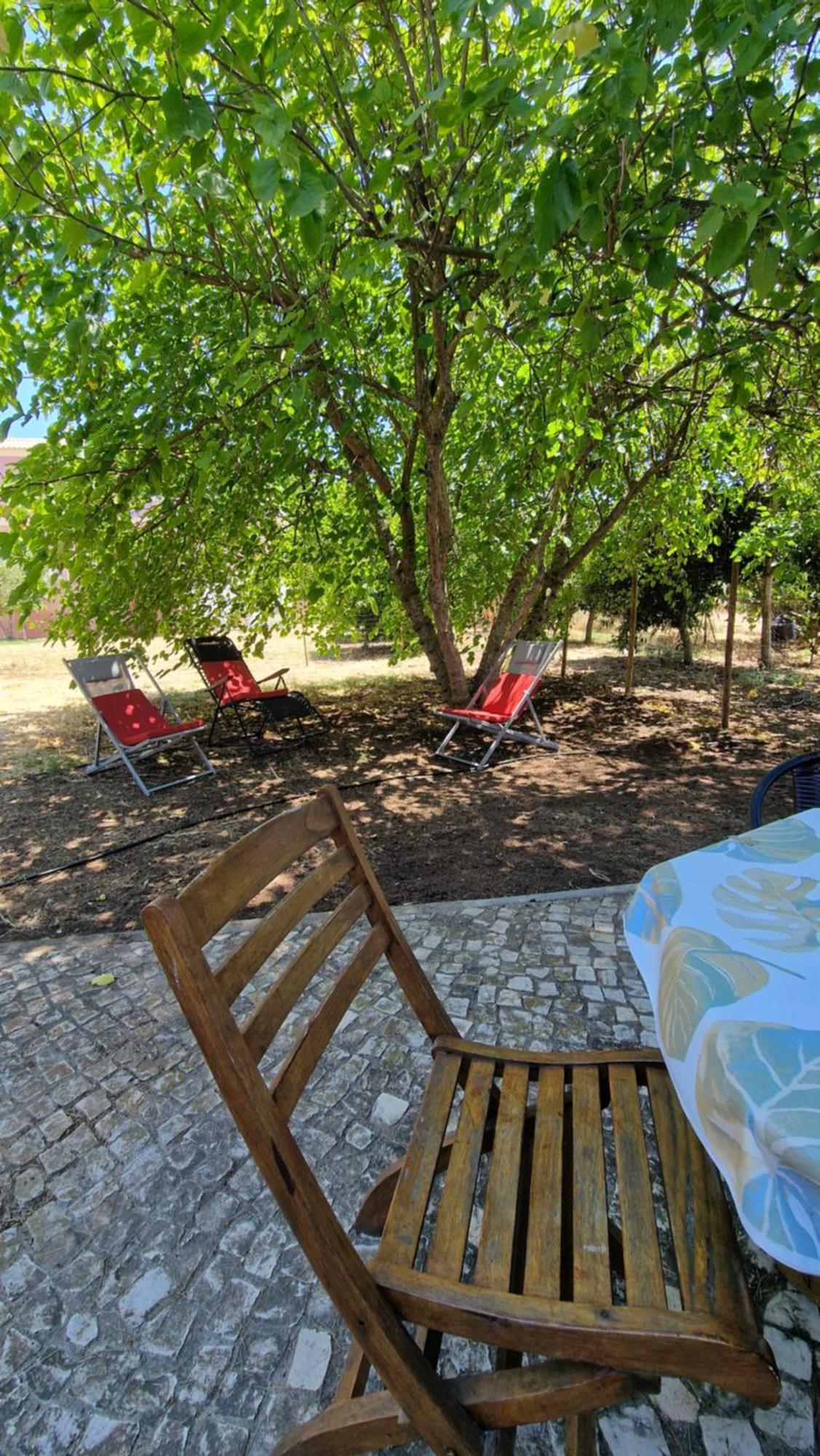 Chalet Villa Mosquito 西尔韦斯 外观 照片